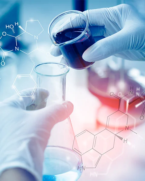يصل التلوث بالكبريتات إلى مستويات حرجة في أنظمة الأنهار الرئيسية